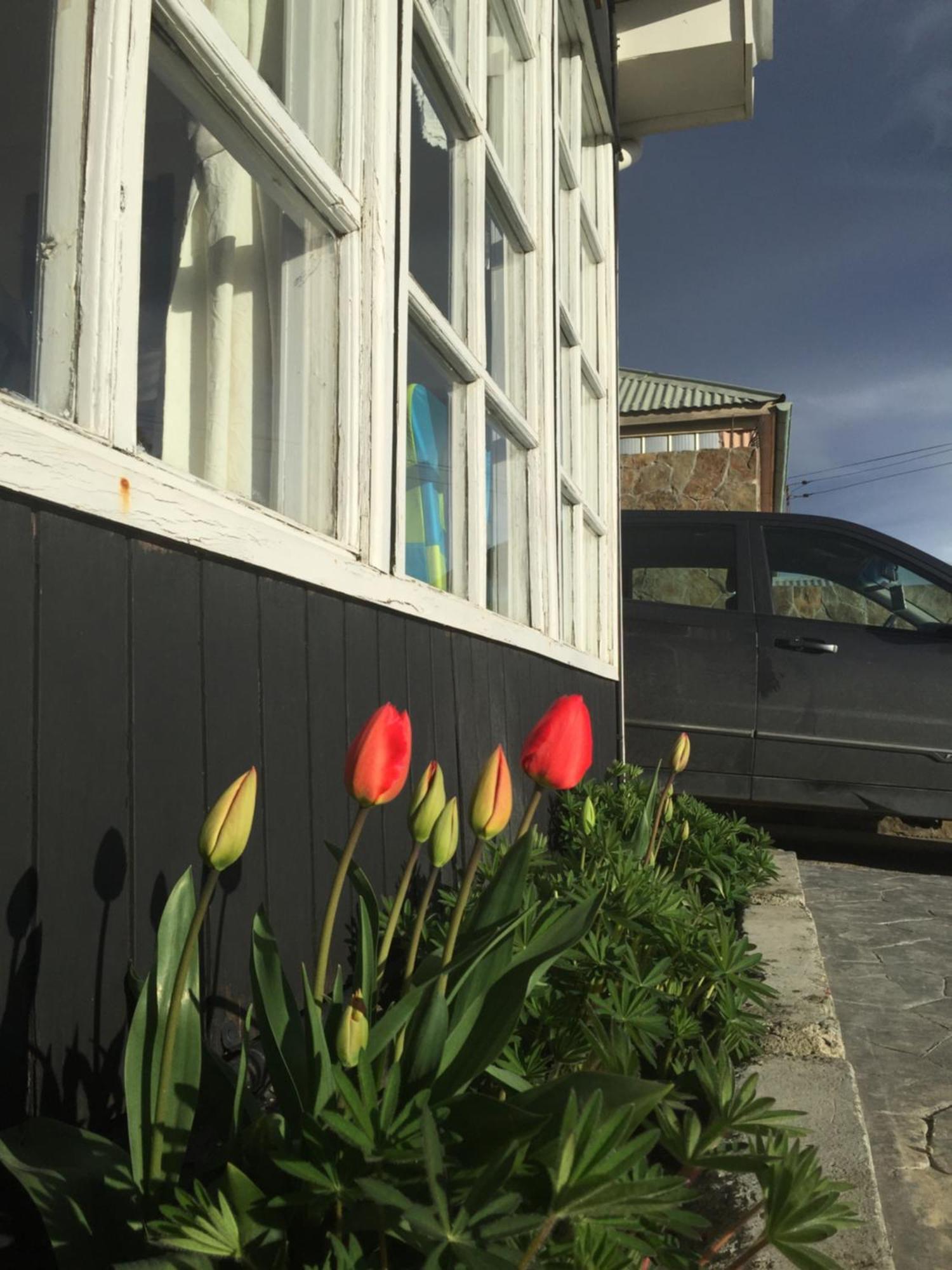 Big Bang Patagonia - Traveler Assistance Acomodação com café da manhã Puerto Natales Exterior foto